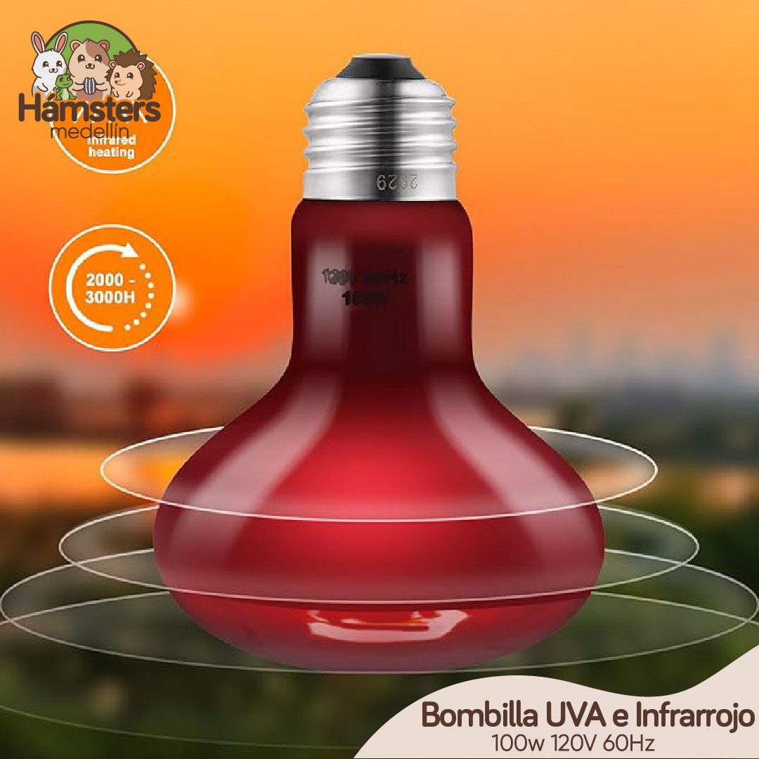 Bombillo X2 UVA100 Watt e Infrarrojo para dragón barbudo, tortugas, serpiente y lagarto - Imagen 3