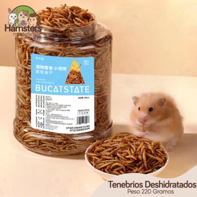 Tenebrios Deshidratados Hamsters Erizos y Otros Animales Pequeños - Imagen 5
