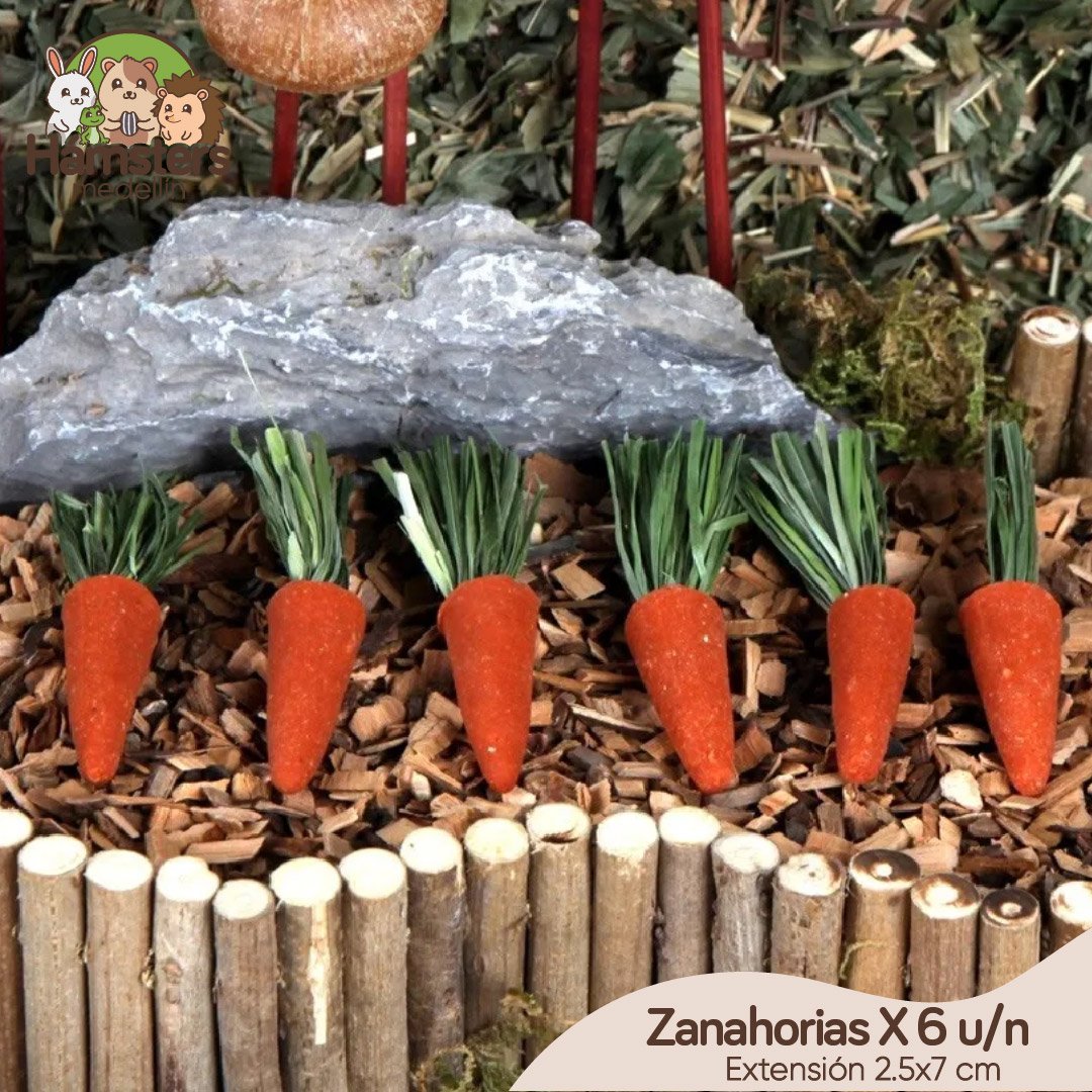 Zanahorias Masticables Golosinas Con Ramas de Heno Timothy - Imagen 5
