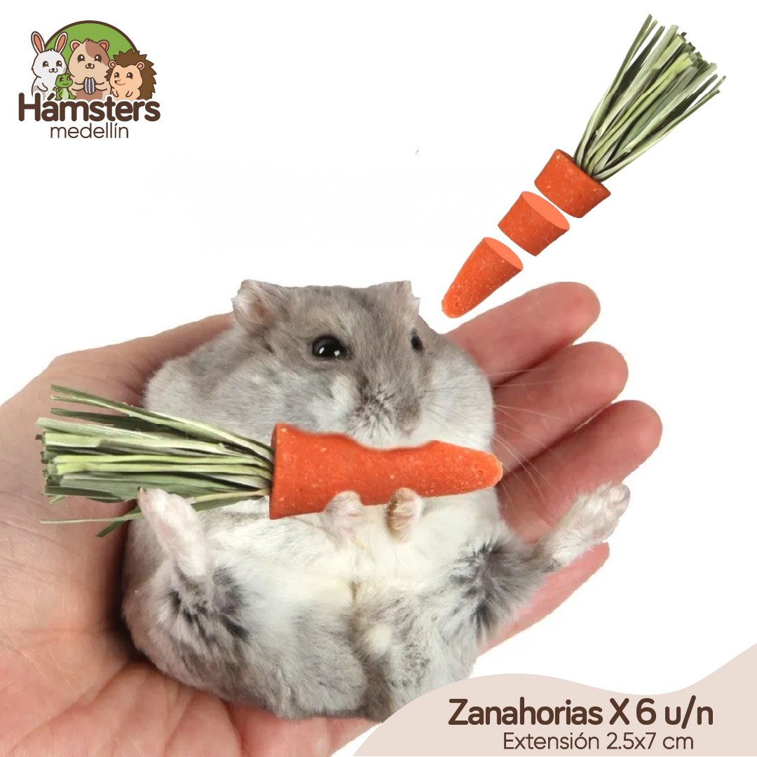 Zanahorias Masticables Golosinas Con Ramas de Heno Timothy - Imagen 4